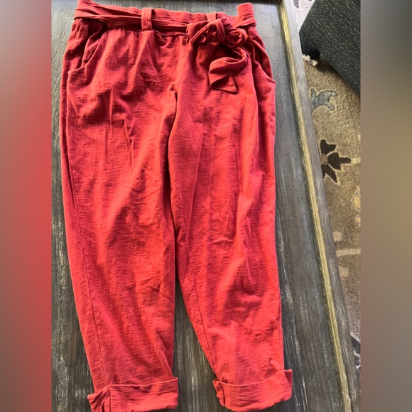 Anthropologie Pants - Anthropologie , Pure + Good globe trotter  cotton jogger pants